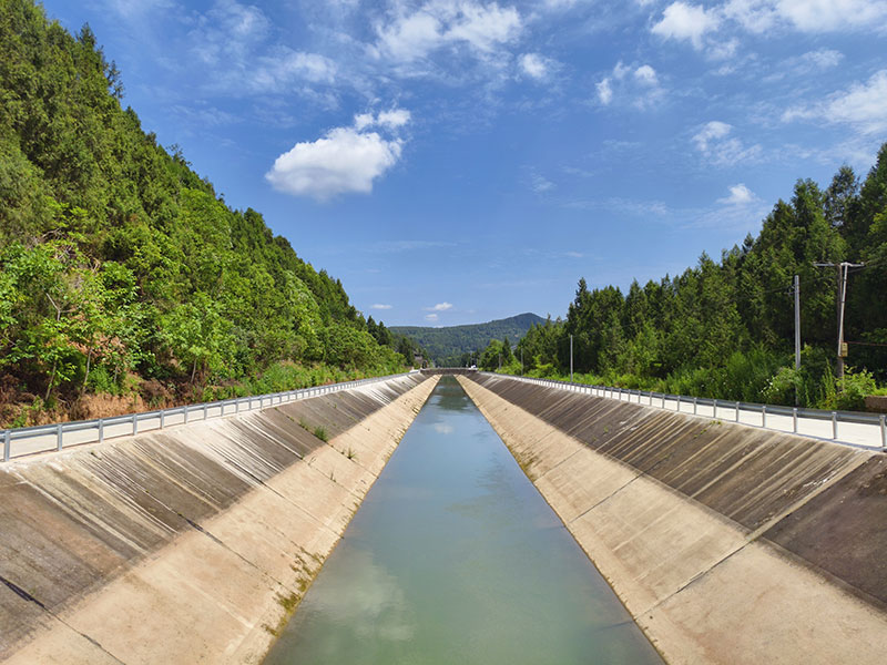 ���ܸ���